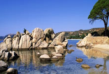 亚马逊云科技成为NBA及其附属联赛的官方云服务與(yǔ)云AI合作伙伴